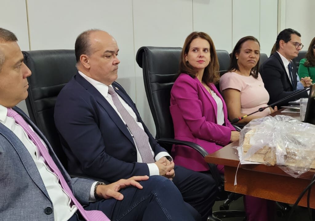 Imagem de várias pessoas sentadas à mesa, em uma reunião.