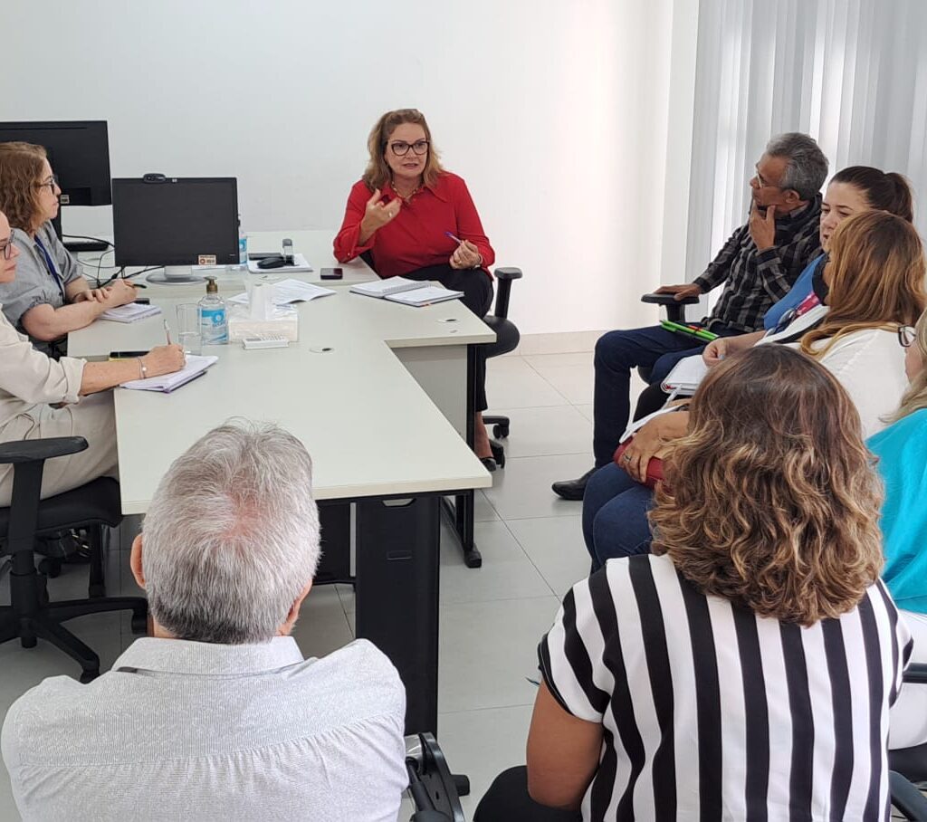 Imagem mostra uma sala com pessoas dispostas ao redor de uma mesa na qual promotora de Justiça se senta ao centro, no fundo da imagem, gesticulando enquanto fala.