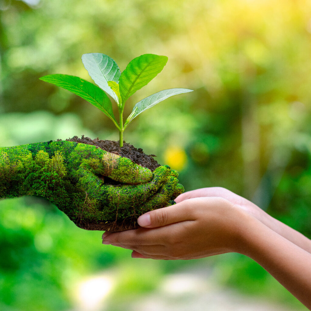 imagem de duas pessoas com as mãos proximas segurando uma planta em alusao a agenda ambiental do MPRN